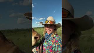 agriculture aussiecowgirl australianoutback [upl. by Louie313]