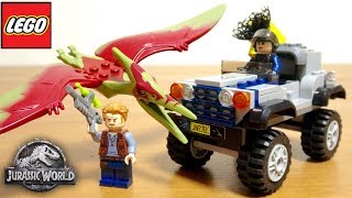 レゴ 映画ジュラシックワールド 炎の王国より 75926 プテラノドン・チェイス 組立・レビュー  LEGO JURASSIC WORLD Fallen Kingdom [upl. by Nylegna198]