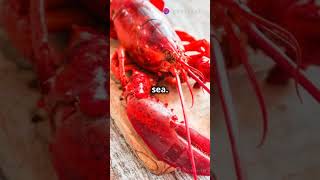 All blood is not red Blue blood marine organisms science interestingfacts shorts [upl. by Adnomal]