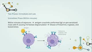 Hypersensitivity  Chapter 1 Introduction and Type 1 Hypersensitivity Reaction [upl. by Aiva]