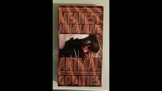 Time Life Animal Oddities The Meanest Animal Alive Honey Badger Full Documentary 1995 [upl. by Anidnamra700]