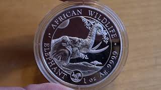 2023 Somalian Elephant Privy African Wildlife Series [upl. by Ativ]