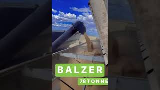 BALZER CHASER BIN UNLOADING AUSTRALIA [upl. by Lindner]