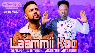 Shukri Jamal amp Galana Garomsa Lammii Koo New Oromo Music HD 2021 Official Video [upl. by Naujyt]