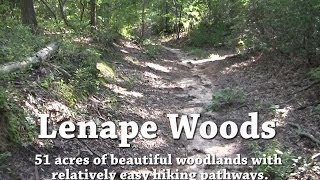 Lenape Woods [upl. by Cousins919]