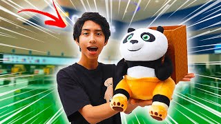 ¡CONSEGUÍ LA PALOMERA DE KUNG FU PANDA 4  IVANSPIDEY [upl. by Larimore270]