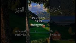 Surat Al Ala · Abdel Rahman Musad MashahAllah is very good recitation of Quran [upl. by Arabella]