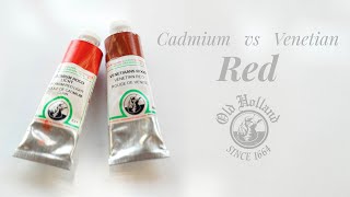 Cadmium Red vs Venetian Red [upl. by Newell]