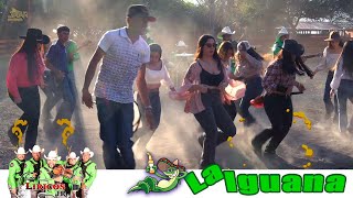 La Iguana  Guapango  Los Liricos Jr  Video Oficial [upl. by Judd]