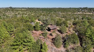 Fehrs Overlook  Bastrop State Park Bastrop TX [upl. by Nelly]