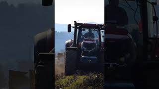 Case IH Optum 300 cvx  Lemekn EurOpal 8 [upl. by Epp]