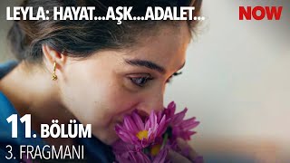 Leyla Hayat…Aşk…Adalet 11 Bölüm 3 Fragmanı [upl. by Inglebert]