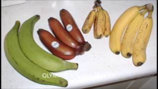 Whats the Difference Between Bananas amp Plantains [upl. by Kumler]