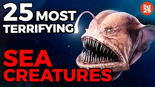 25 Most TERRIFYING Sea Creatures [upl. by Evelunn778]