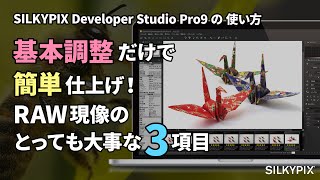 基本調整だけで簡単仕上げ！ ～RAW現像のとっても大事な基本調整3項目～【SILKYPIX Developer Studio Pro9の使い方】 [upl. by Lenssen]