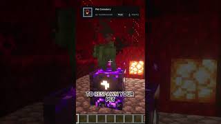 Pet Cemetery Minecraft Mod minecraft mods gaming minecrafttutorial minecraftbuilding [upl. by Alyled]