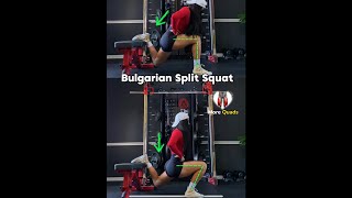 Bulgarian split squat tips more glutes vs more quads [upl. by Geri]