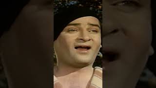 Tumse Achha Kaun Hai🎶  Shammi Kapoor Rajshree  Mohammed Rafi  Janwar Movie  shorts ytshorts [upl. by Markos]