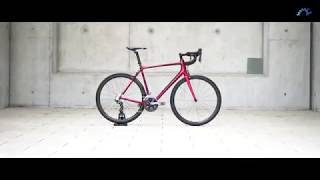 Trek Emonda SL 6 Rage RedOnyx Carbon 2019  Trek Rennrad 2019 [upl. by Paget580]