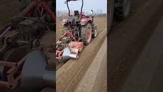 Green onion planting technology Green onion ridging machine [upl. by Anoyi]