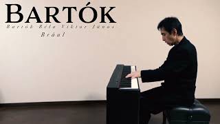 Bartók Román népi táncok No2 Brâul  Satoru Takishima [upl. by Adnima]