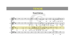 Sicut Cervus Palestrina  TENOR part [upl. by Abihsot]