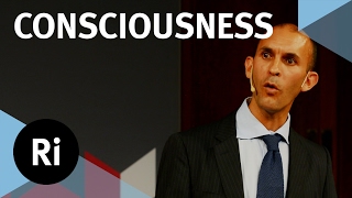 The Neuroscience of Consciousness – with Anil Seth [upl. by Afesoj141]