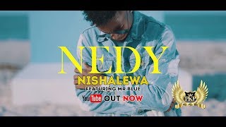 Nedy Music ft Mr Blue  Nishalewa  Official Music Video [upl. by Maure]