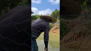 Cascudo gigante videoviral peixe vivendonocampo vidanocampo [upl. by Yelnek]