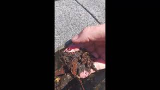 How to collect rainwater for CHEAP cleaning and prepping your gutters [upl. by Kaile]