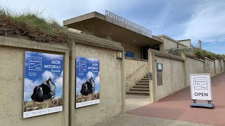 2022 04 Igor Mitoraj Beelden aan Zee [upl. by Ahseym268]