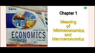 Micro Economics Class 11 Chapter 1 Meaning MicroEconomics and MacroEconomics economicsclass 11 [upl. by Ybrik]