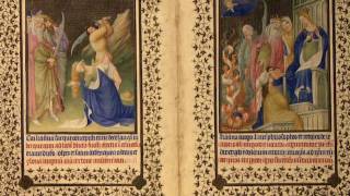 The Art of Illumination The Limbourg Brothers and the Belles Heures of Jean de France Duc de Berry [upl. by Westbrooke]