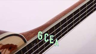 AFINADOR UKULELE  TUNER  G C E A [upl. by Asreht]