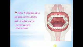 69 İNSANDA HƏZM SİSTEMİ [upl. by Rooker]