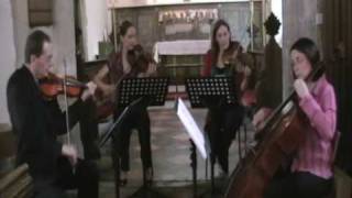 Pachelbels Canon in D for String Quartet [upl. by Frum800]