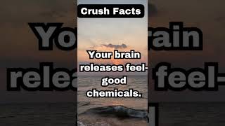 facts about psychology crush female male relationship [upl. by Neram]