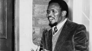 Want To Be Conscious Start With Steve Biko [upl. by Akinajnat912]