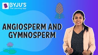 Difference Between Angiosperms And Gymnosperms [upl. by Conti750]