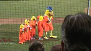 Family The San Diego Chicken in Vancouver 2 [upl. by Nerty]