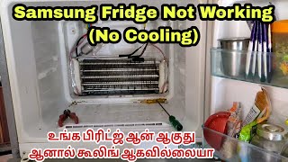 Samsung Fridge Not working No Cooling [upl. by Dogs]