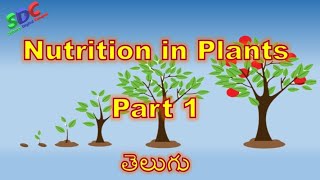 Nutrition in Plants Part 1 in Telugu CBSE syllabus Class 7 [upl. by Sailesh]