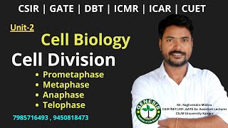 Prometaphase  Metaphase  Anaphase  Telophase  Cell Biology  Unit2 genesisinstitute [upl. by Davida]