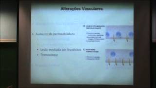 Inflamação  Aspectos Vasculares [upl. by Aronid222]