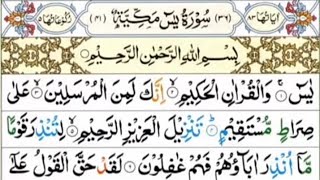 Surah Yasin  Yaseen   Beautiful Voice tilawat  Beautiful recitationیس سورہ 36 Daily Quran [upl. by Coffee]