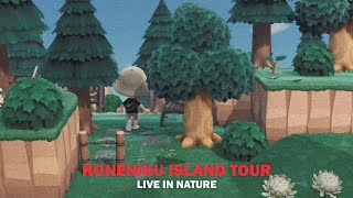 【あつ森】自然と暮らす田舎町 ほねにく島の紹介  Animal Crossing New Horizons Island Tour 【島紹介】 [upl. by Ezana]