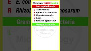 Examples of Gram positive and Gram negative Bacteria  With Mnemonics  shorts [upl. by Frederigo]