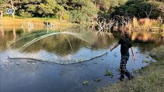 tilapia de entre 3y4 kilos donde desemboca el rio [upl. by Milissent]