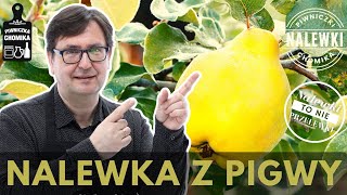 Nalewka z pigwy pigwówka Kultowy trunek domowego wyrobu Prosty przepis na doskonałą nalewkę [upl. by Meggie]