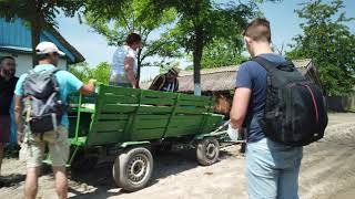 Explore Letea Forest from danube Delta Romania [upl. by Ani110]